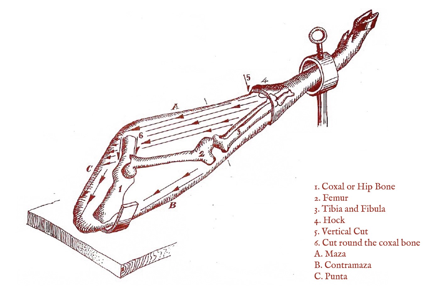 How to Carve Serrano Ham Leg Step by step guide