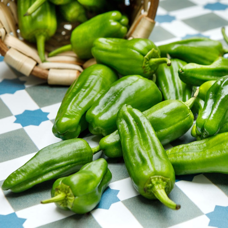 Fresh Padron Peppers