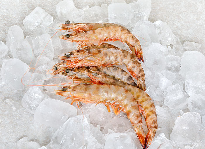 Wild Tiger Prawns 30/40