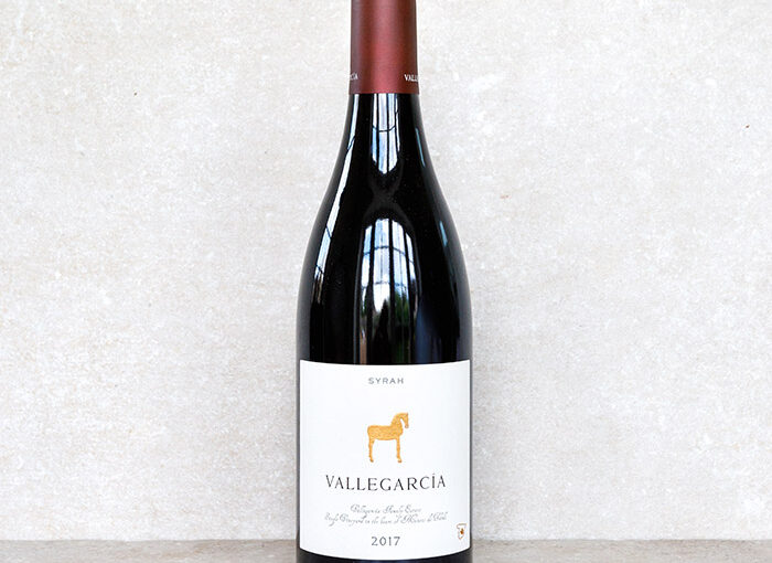 Vallegarcia Syrah 2022