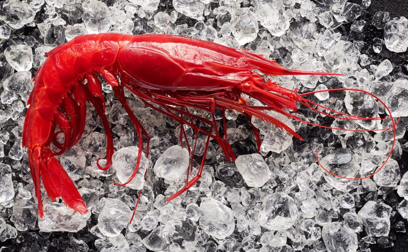 Extra Large Carabinero Prawns 5/7