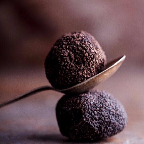 Fresh Black Truffle Spanish Seafood Basco