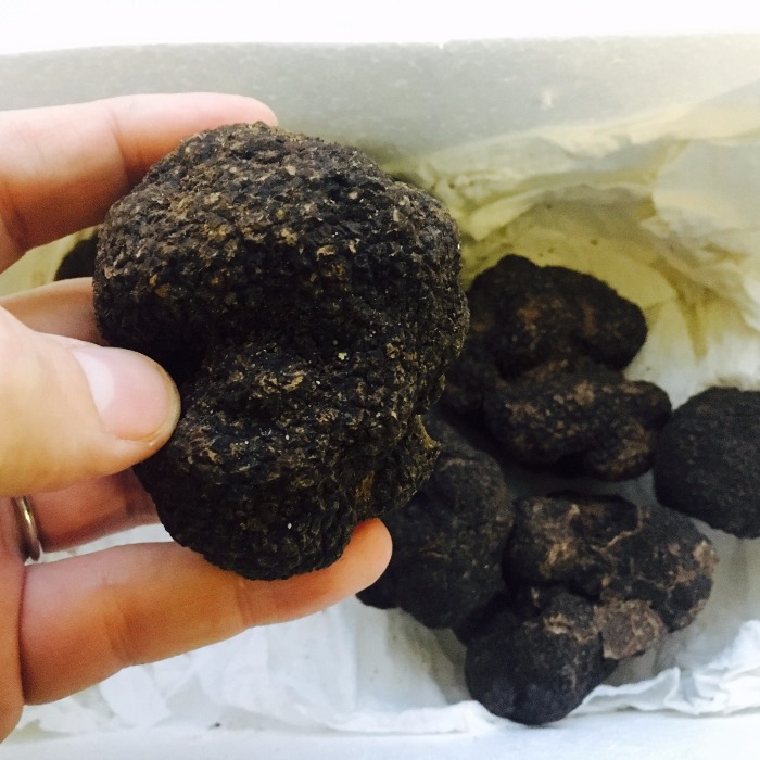 Fresh Black Truffle Spanish Seafood Basco