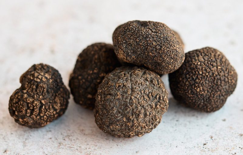 Fresh Black Winter Truffle