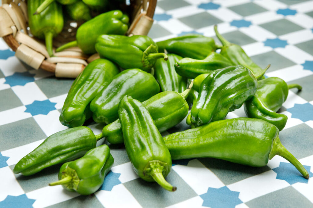 How to prepare Padrón Peppers – a step by step guide