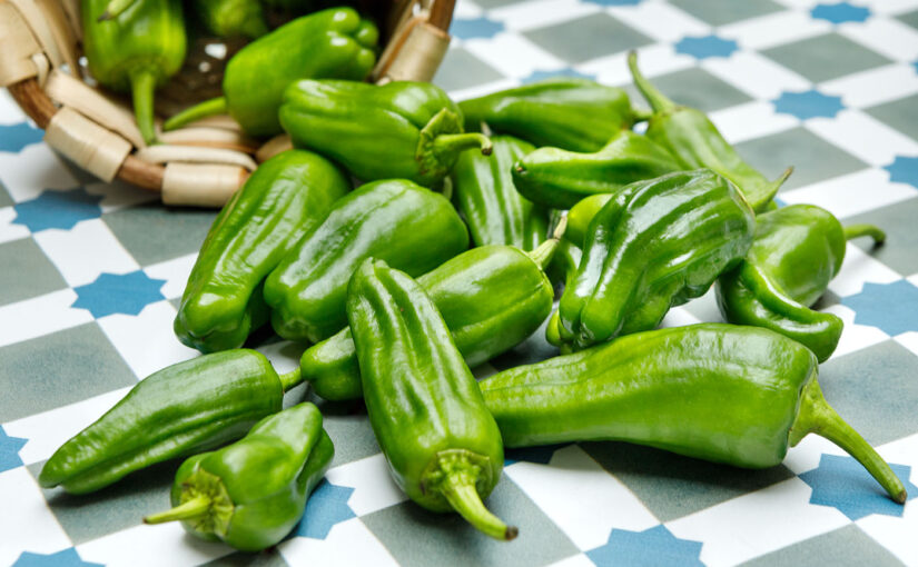 How to prepare Padrón Peppers – a step by step guide