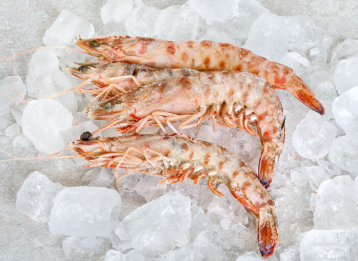 Wild Tiger Prawns 10/20