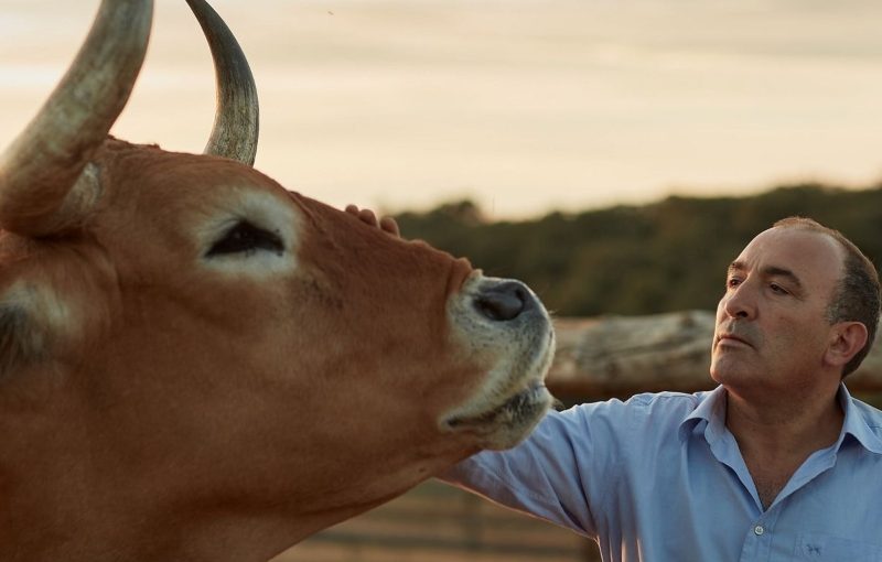 Carnicas El Capricho