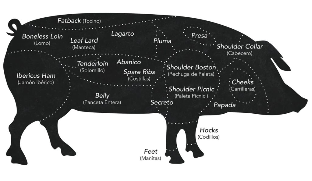 A Guide to Ibérico Pork Cuts