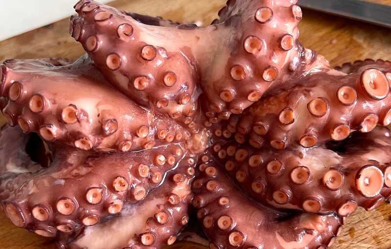 Moyseafood Whole Cooked Octopus 0.9Kg