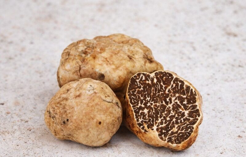 Fresh White Bianchetto Truffle